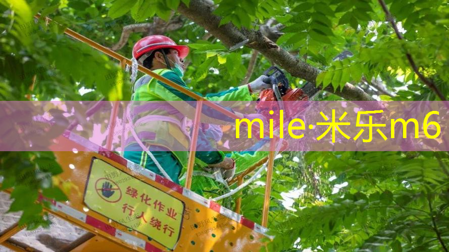 乒乓球台能用多久时间换