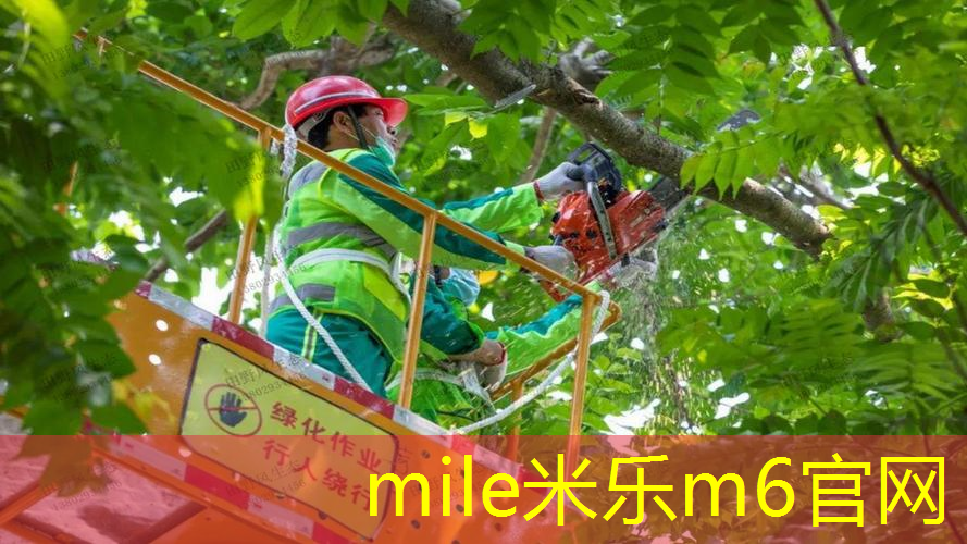 静音康体器材  安静健身，不扰他人